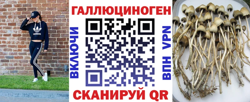 Купить где  Краснослободск  Псилоцибиновые грибы мицелий 